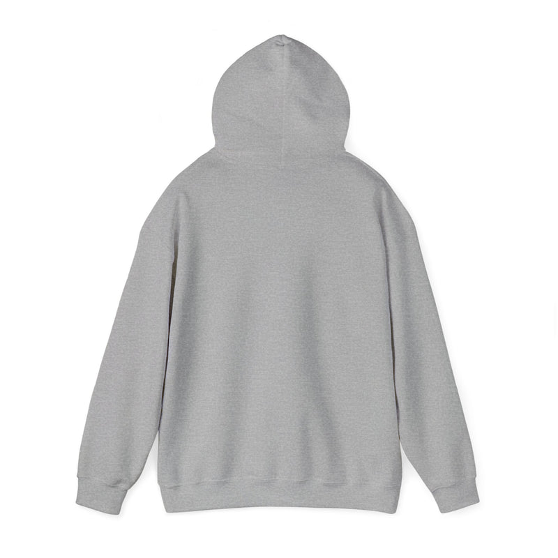 #PVD - Heavy Blend™ Hooded Sweatshirt